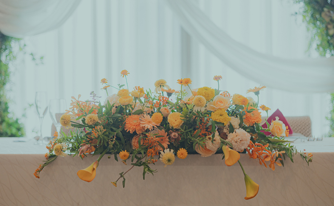 COORDINATEレポート